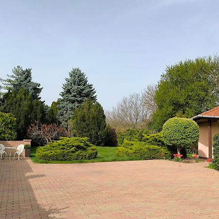 Korona Panzio Bed & Breakfast Balatonbereny Exterior photo